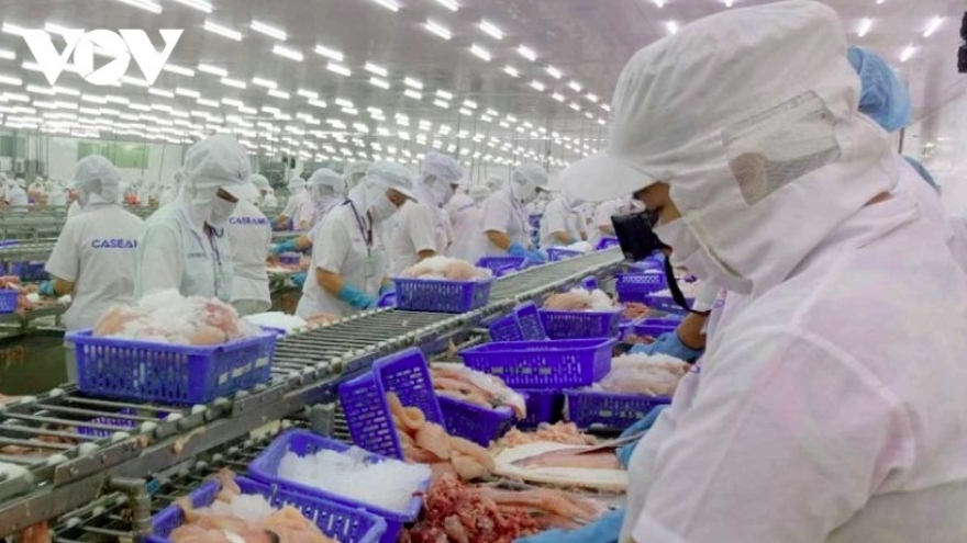 Pangasius exports exceed US$2 billion in 11 months